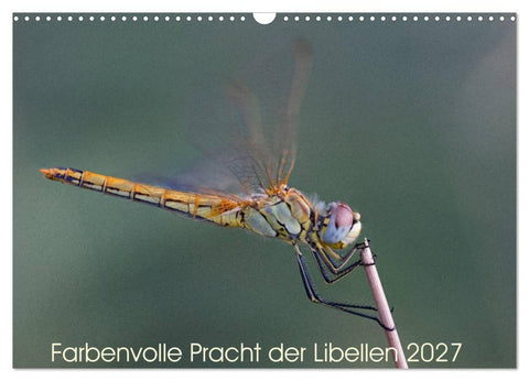 Farbenvolle Pracht der Libellen (Wandkalender 2027 DIN A3 quer), CALVENDO Monatskalender