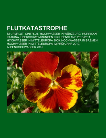 Flutkatastrophe