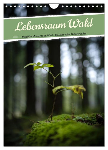 Lebensraum Wald (Wandkalender 2027 DIN A4 hoch), CALVENDO Monatskalender