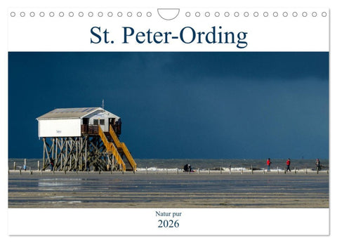 St. Peter-Ording - Natur pur (Wandkalender 2026 DIN A4 quer), CALVENDO Monatskalender
