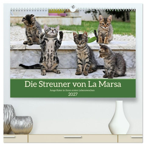 Die Streuner von La Marsa (hochwertiger Premium Wandkalender 2027 DIN A2 quer), Kunstdruck in Hochglanz