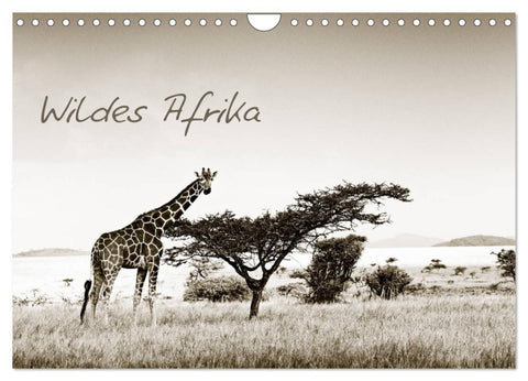 Wildes Afrika (Wandkalender 2026 DIN A4 quer), CALVENDO Monatskalender