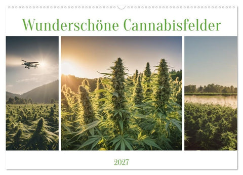 Wunderschöne Cannabisfelder (Wandkalender 2027 DIN A2 quer), CALVENDO Monatskalender