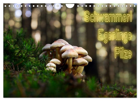 Schwammerl Egerlinge Pilze (Wandkalender 2027 DIN A4 quer), CALVENDO Monatskalender
