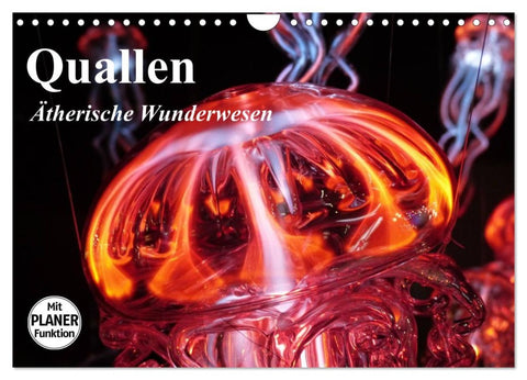 Quallen. Ätherische Wunderwesen (Wandkalender 2026 DIN A4 quer), CALVENDO Monatskalender