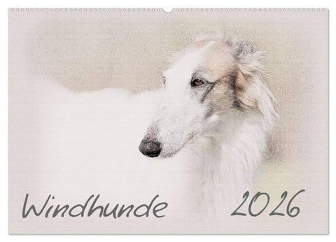 Windhunde 2026 (Wandkalender 2026 DIN A2 quer), CALVENDO Monatskalender