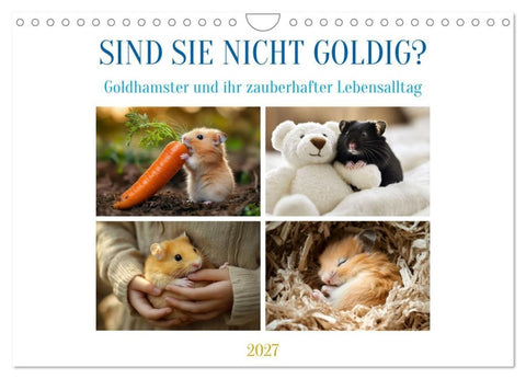 Sind sie nicht goldig? (Wandkalender 2027 DIN A4 quer), CALVENDO Monatskalender