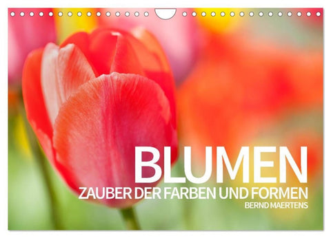 BLUMEN Zauber der Farben und Formen (Wandkalender 2026 DIN A4 quer), CALVENDO Monatskalender