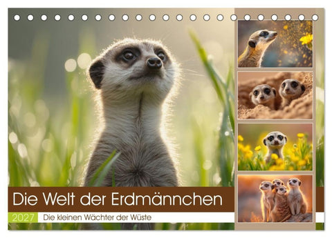 Die Welt der Erdmännchen (Tischkalender 2027 DIN A5 quer), CALVENDO Monatskalender