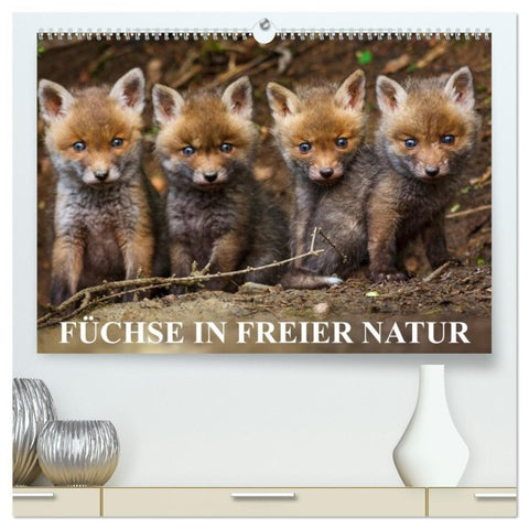 Füchse in freier Natur (hochwertiger Premium Wandkalender 2026 DIN A2 quer), Kunstdruck in Hochglanz