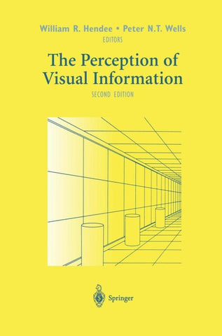 The Perception of Visual Information