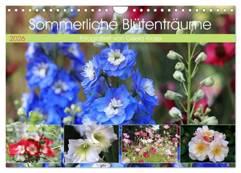 Sommerliche Blütenträume (Wandkalender 2026 DIN A4 quer), CALVENDO Monatskalender