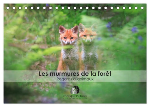 Les murmures de la forêt - Regards d'animaux (Calendrier de bureau 2027 DIN A5 vertical), CALVENDO calendrier mensuel