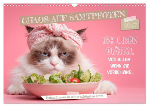 Chaos auf Samtpfoten (Wandkalender 2027 DIN A3 quer), CALVENDO Monatskalender