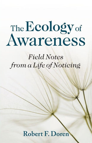 The Ecology of Awareness