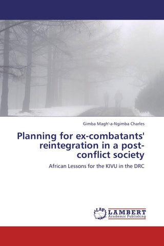 Planning for ex-combatants' reintegration in a post-conflict society