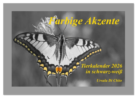Farbige Akzente - Tierkalender 2026 in schwarz-weiß (Wandkalender 2026 DIN A2 quer), CALVENDO Monatskalender