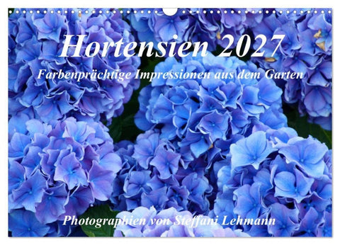 Hortensien 2027. Farbenprächtige Impressionen aus dem Garten (Wandkalender 2027 DIN A3 quer), CALVENDO Monatskalender
