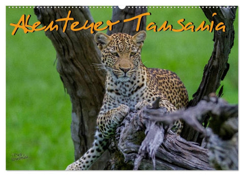 Abenteuer Tansania, Afrika (Wandkalender 2026 DIN A2 quer), CALVENDO Monatskalender