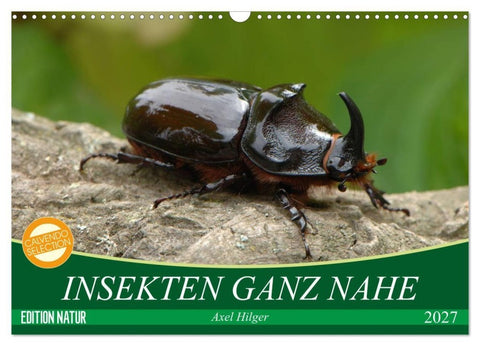 INSEKTEN GANZ NAHE (Wandkalender 2027 DIN A3 quer), CALVENDO Monatskalender