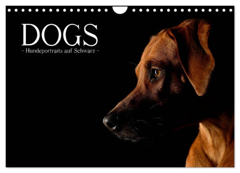 Dogs (Wandkalender 2026 DIN A4 quer), CALVENDO Monatskalender