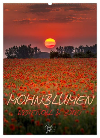 Mohnblumen - kraftvoll und zart (Wandkalender 2027 DIN A2 hoch), CALVENDO Monatskalender