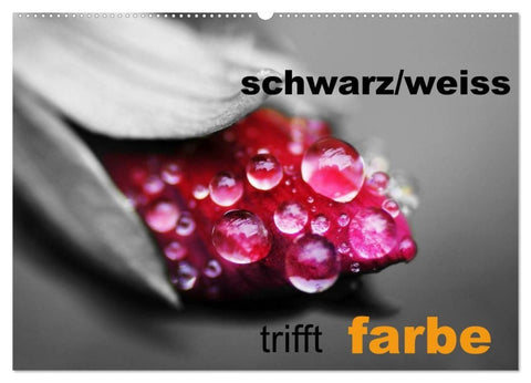 schwarz/weiß trifft farbe (Wandkalender 2027 DIN A2 quer), CALVENDO Monatskalender