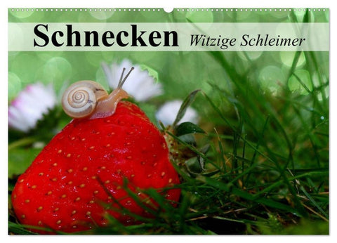 Schnecken. Witzige Schleimer (Wandkalender 2026 DIN A2 quer), CALVENDO Monatskalender