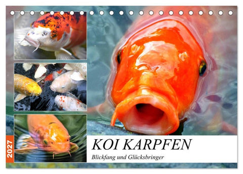 Koi Karpfen. Blickfang und Glücksbringer (Tischkalender 2027 DIN A5 quer), CALVENDO Monatskalender