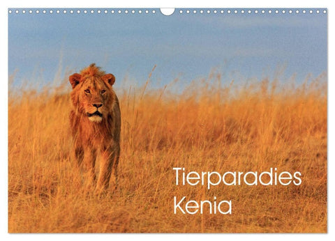 Tierparadies Kenia (Wandkalender 2027 DIN A3 quer), CALVENDO Monatskalender