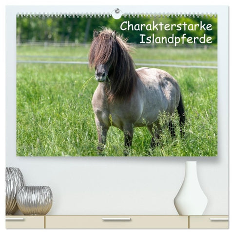 Charakterstarke Islandpferde (hochwertiger Premium Wandkalender 2027 DIN A2 quer), Kunstdruck in Hochglanz