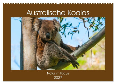 Australische Koalas (Wandkalender 2027 DIN A2 quer), CALVENDO Monatskalender