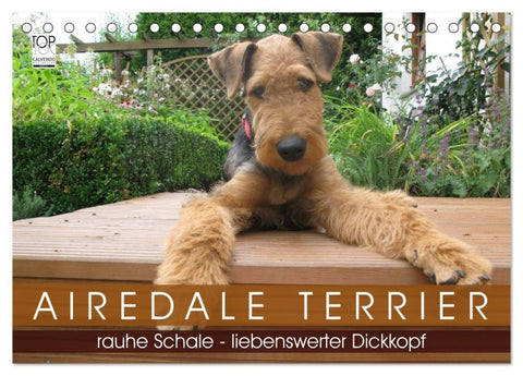 Airedale Terrier (Tischkalender 2026 DIN A5 quer), CALVENDO Monatskalender