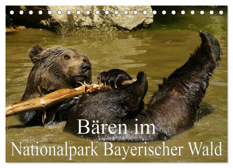 Bären im Nationalpark Bayerischer Wald (Tischkalender 2027 DIN A5 quer), CALVENDO Monatskalender