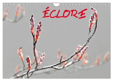 ÉCLORE (Calendrier mural 2026 DIN A4 vertical), CALVENDO calendrier mensuel