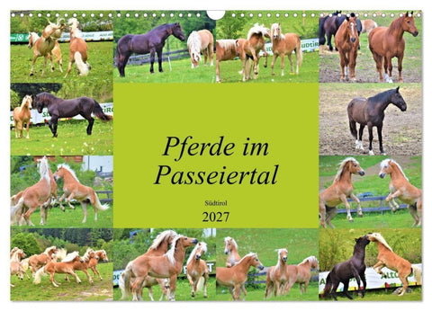 Pferde im Passeiertal (Wandkalender 2027 DIN A3 quer), CALVENDO Monatskalender