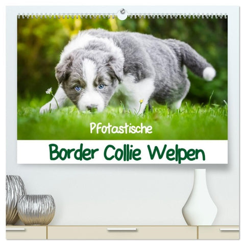 Pfotastische Border Collie Welpen (hochwertiger Premium Wandkalender 2026 DIN A2 quer), Kunstdruck in Hochglanz