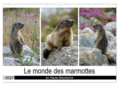 Le monde des marmottes en Haute Maurienne (Calendrier mural 2027 DIN A3 vertical), CALVENDO calendrier mensuel