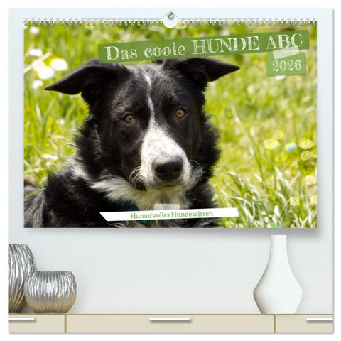 Das coole Hunde ABC (hochwertiger Premium Wandkalender 2026 DIN A2 quer), Kunstdruck in Hochglanz