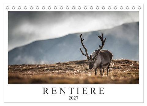 Rentiere (Tischkalender 2027 DIN A5 quer), CALVENDO Monatskalender