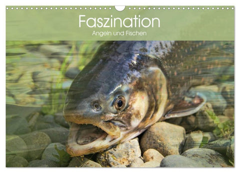 Faszination Angeln und Fischen (Wandkalender 2026 DIN A3 quer), CALVENDO Monatskalender