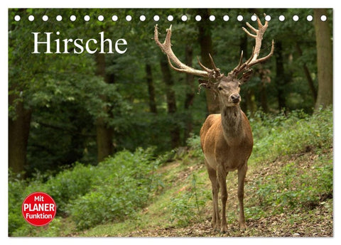 Hirsche (Tischkalender 2026 DIN A5 quer), CALVENDO Monatskalender