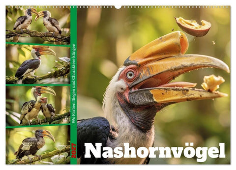 Nashornvögel (Wandkalender 2027 DIN A2 quer), CALVENDO Monatskalender
