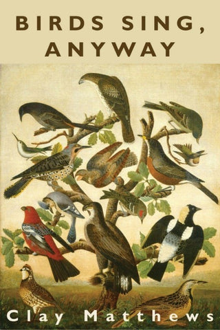 Birds Sing, Anyway