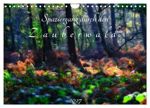 Spaziergang durch den Zauberwald (Wandkalender 2027 DIN A4 quer), CALVENDO Monatskalender