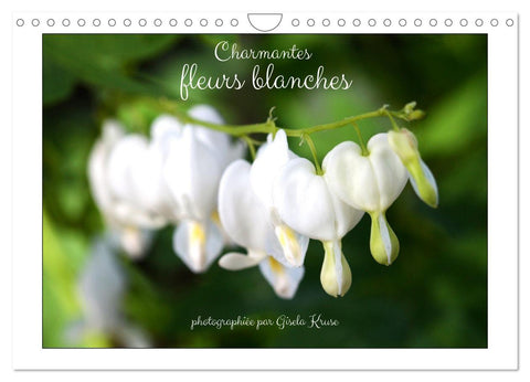Charmantes fleurs blanches (Calendrier mural 2027 DIN A4 vertical), CALVENDO calendrier mensuel