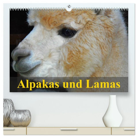Alpakas und Lamas (hochwertiger Premium Wandkalender 2026 DIN A2 quer), Kunstdruck in Hochglanz