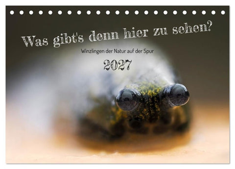 Was gibt's denn hier zu sehen? (Tischkalender 2027 DIN A5 quer), CALVENDO Monatskalender