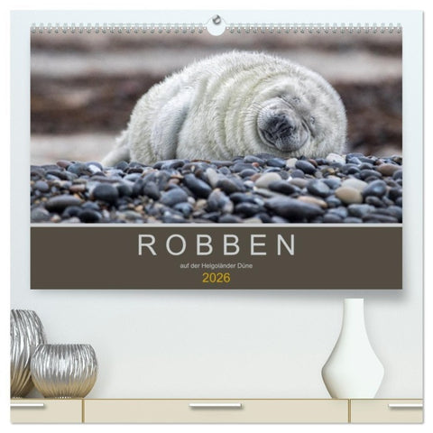 Robben auf der Helgoländer Düne (hochwertiger Premium Wandkalender 2026 DIN A2 quer), Kunstdruck in Hochglanz