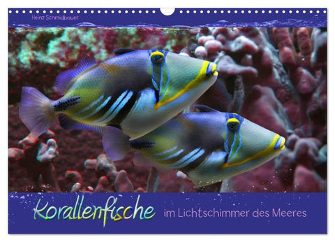 Korallenfische im Lichtschimmer des Meeres (Wandkalender 2026 DIN A3 quer), CALVENDO Monatskalender